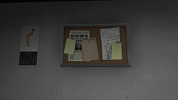 Penguin Peak BLU Noticeboard.webp