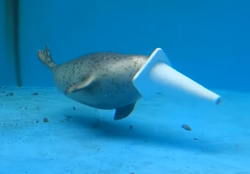 File:Ymopnb1n3h091.png