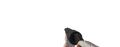 Thumbnail for version as of 15:57, 12 June 2026