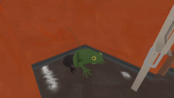 Pelican Peak Frog.webp