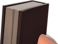 First-person view.