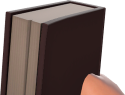 Weapon bible.png